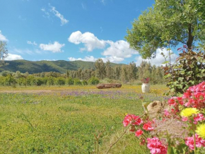 B&B Sensorial Experience Villamassargia